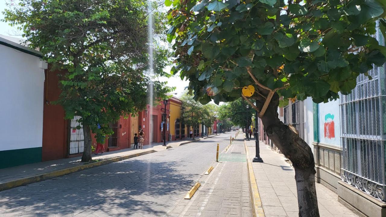 Oaxaca Departments Independencia Lejlighed Eksteriør billede